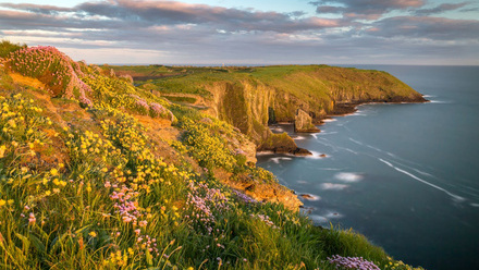 ICON 80 Nations and regions.png