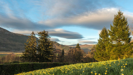 ICON 81 Nations and regions.png