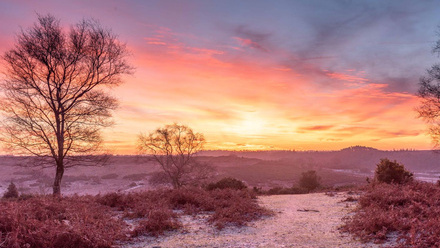 Nations and Regions Campaign only - do not use (64) - smaller.jpg