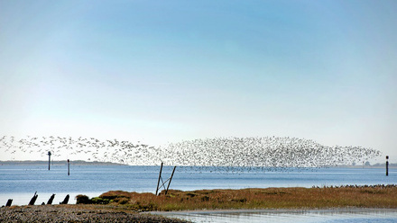 Nations and Regions Campaign only - do not use (65) - smaller.jpg