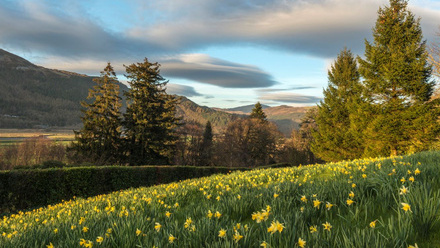 Nations and Regions Campaign only - do not use (81) - Wales.jpg